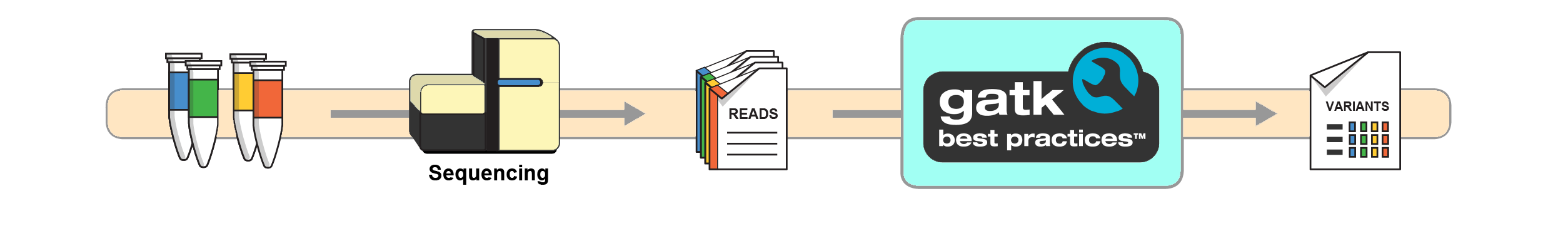 gatk_pipeline_overview变色